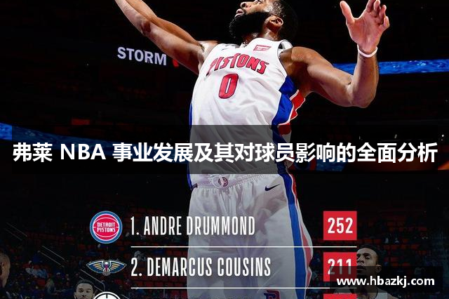 弗莱 NBA 事业发展及其对球员影响的全面分析
